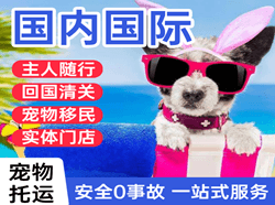 乌兰浩特航空快递国际宠物托运 【国